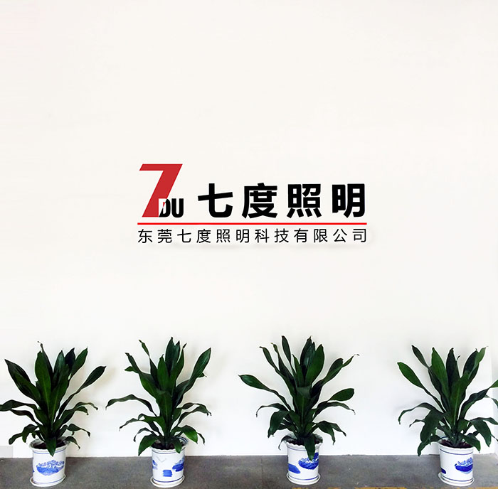 东莞香蕉视频官网照明前台LOGO