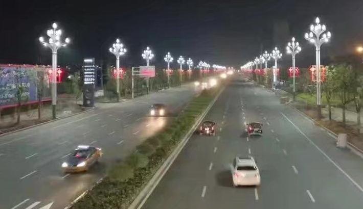 东莞香蕉视频官网照明玉兰灯道路照明效果实景图