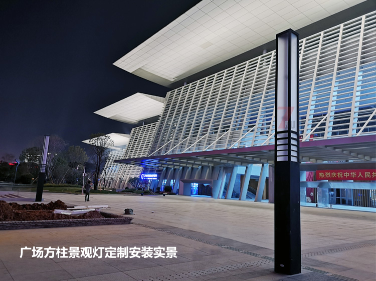 东莞市民服务中心广场中轴定制香蕉视频最新网址安装实拍效果