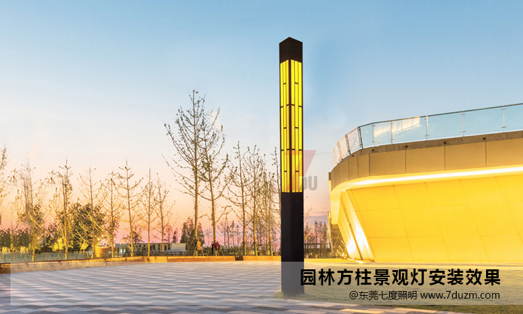 定制4米园林香蕉视频最新网址柱安装实景效果