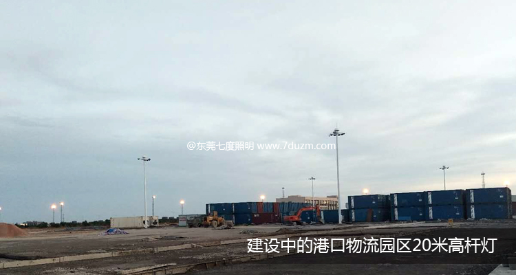 建设中的港口物流园区九九香蕉视频影院安装效果展示
